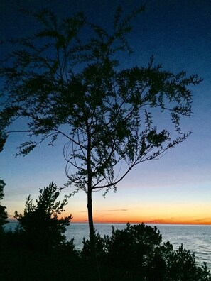 Dusk