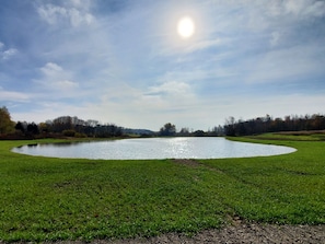 Overnatningsstedets område