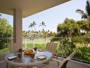 Lanai looking out to golf course