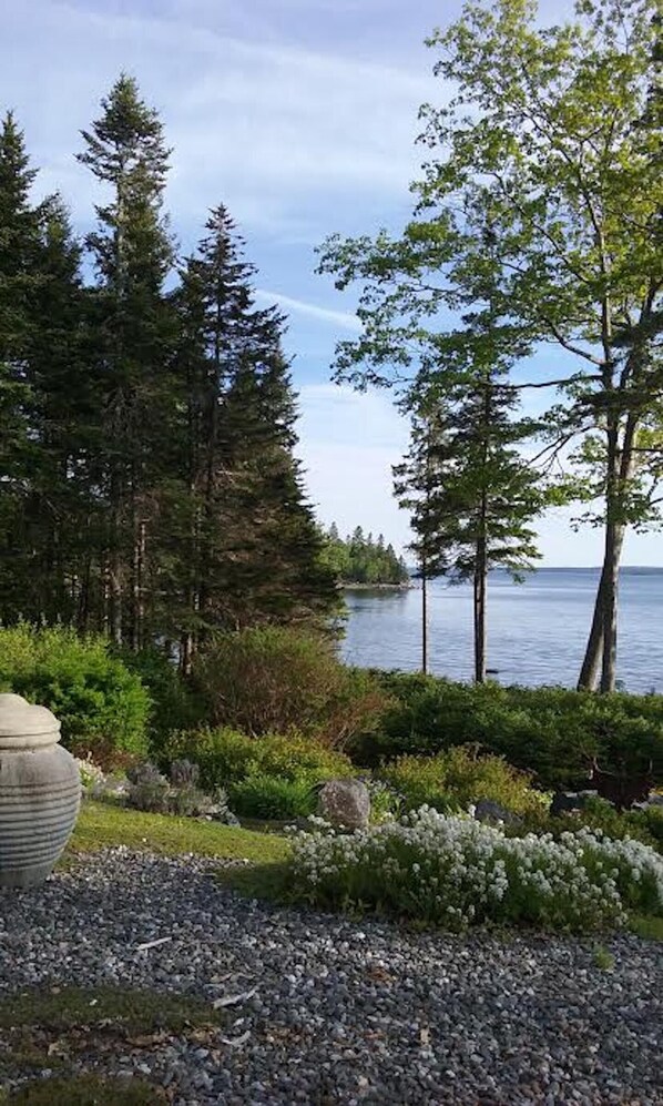 Loon Cove