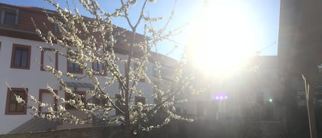 Frühling in Würzburg