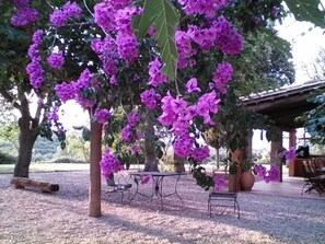 plenty of outdoor area