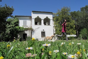 Extérieur
