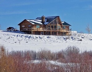 Wapiti in Winter