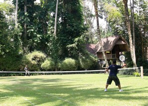 4 bedrooms with tennis grass court, ubud