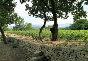 Terrain de l’hébergement 