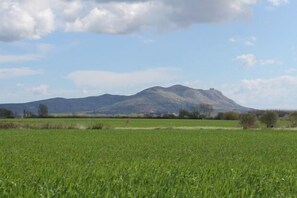 Boendeområde