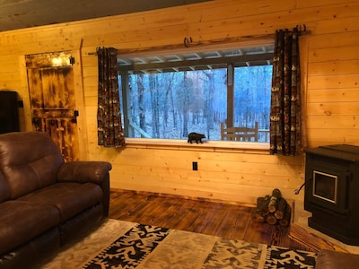 "The Lost Cabin" on Petit Jean Mountain