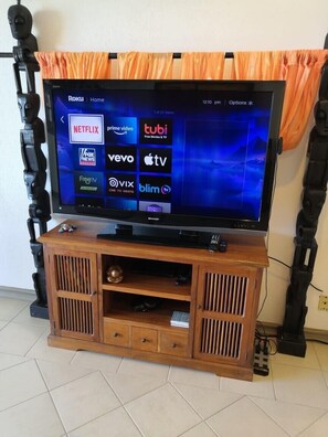 Television