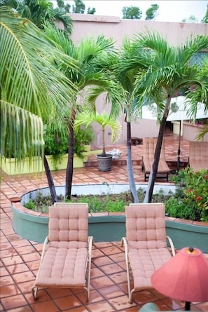 Outdoor courtyard and garden