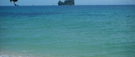 private beach and view to bird island