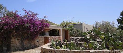 ENTRADA TERRENO CASA