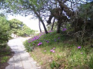 Jardín, parque