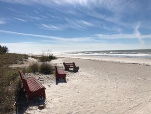 Strand