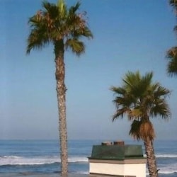 View from Balcony