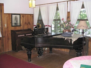 Music corner of the living room.