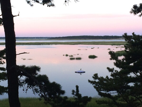 Enjoy the serenity. A heron at sunrise on the float at Half Shell Cottage.