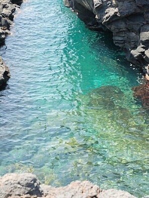 The sea