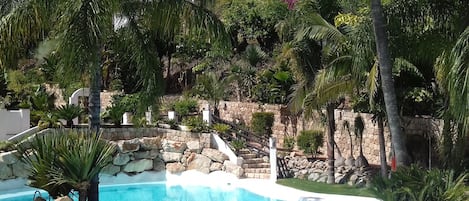 The communal pool is surrounded by exotic palms, so beautiful.