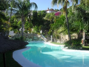 The communal pool is surrounded by exotic palms, so beautiful.