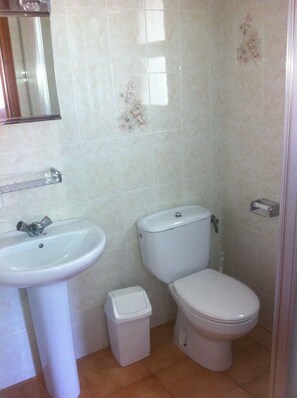 The upstairs shower room