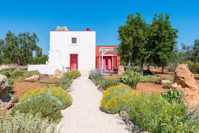 Casa tradicional totalmente renovado (2015) entre los olivos