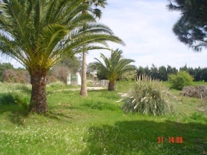 Jardín, parque