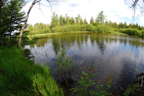 Terrain de l’hébergement 