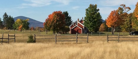 View looking north toward nearby Bald Mountain 