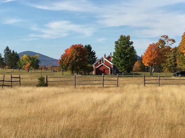 View looking north toward nearby Bald Mountain