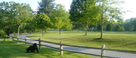 Sparrow’s Rest On The 6th Fairway