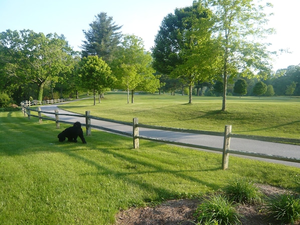 Sparrow’s Rest On The 6th Fairway
