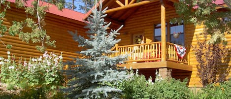 Summer at the Spruce Lodge