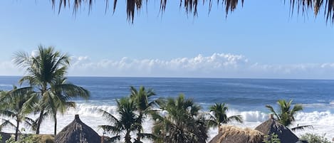 Waves crash, whales breech our Ocean front views are from every angle!