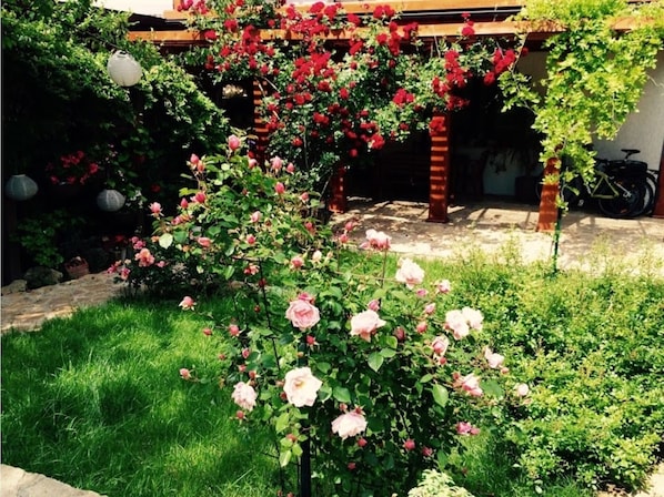 Garden and Terrace