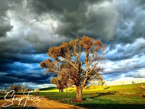 Storm brewing at Wantana