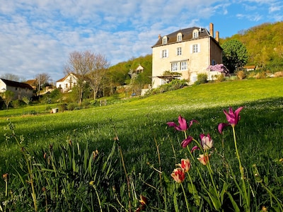 Appartement spacieux tout confort avec vaste jardin