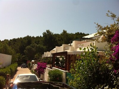 Picture of villa