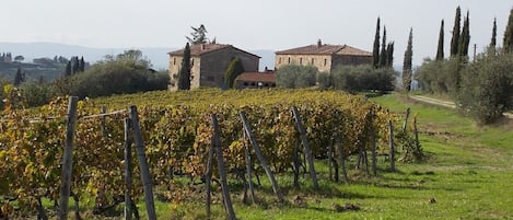 Terrain de l’hébergement 