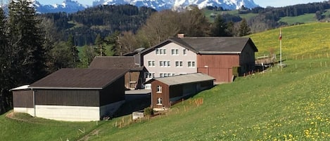 Ferienwohnung Rempfler Lachen-Walzenhausen