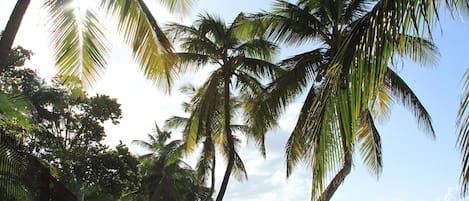 La plage a 20 m du studio.