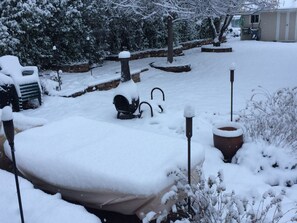 Backyard in Winter