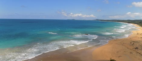 Ocean front, beach front, surf, swim and snorkel area. 