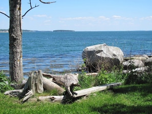 View from Front Lawn