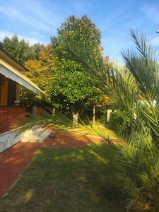 La Casa del Lagotto near the sea 