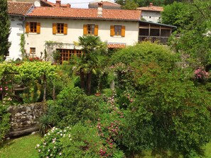 Penthouse with garden