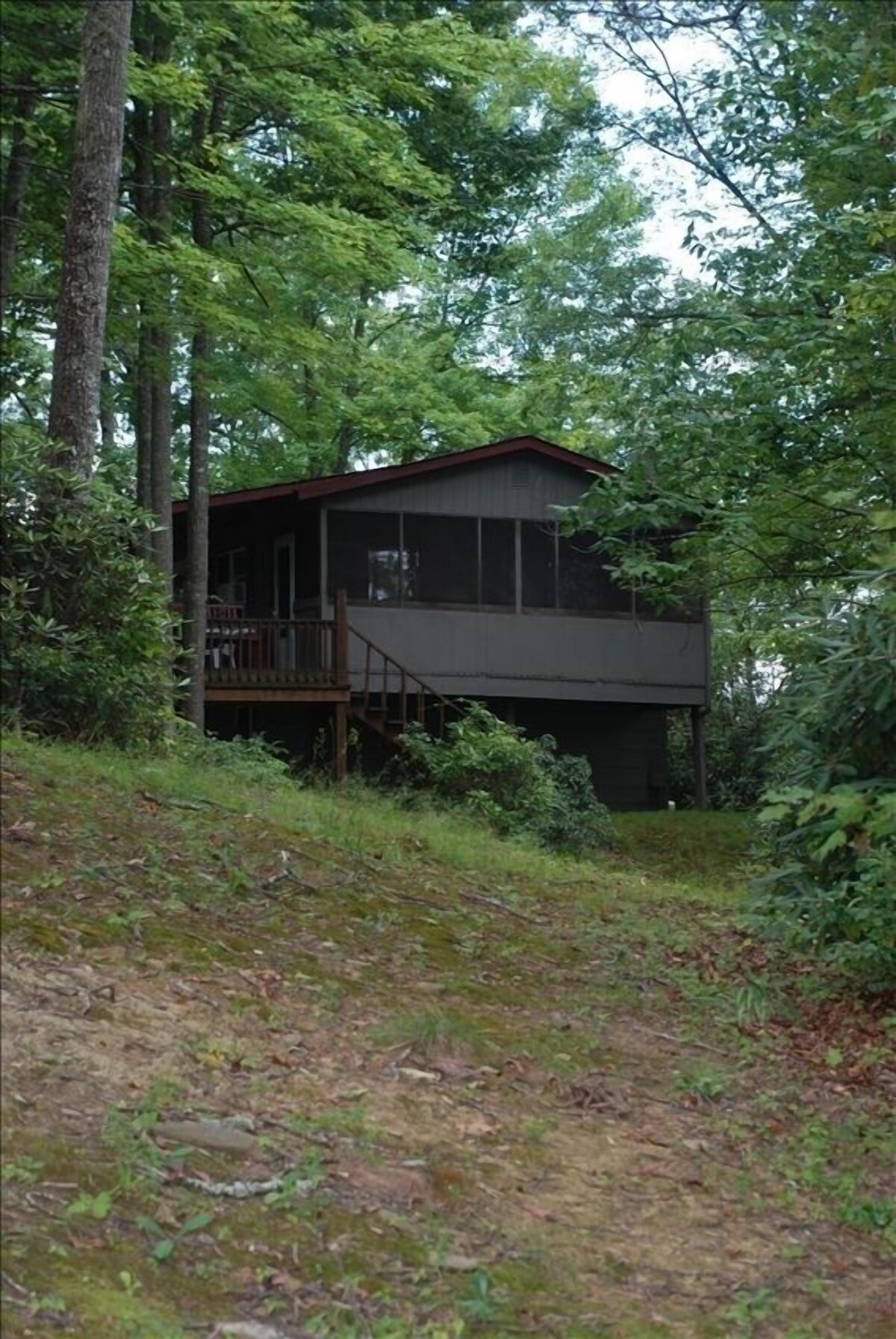 Main Image