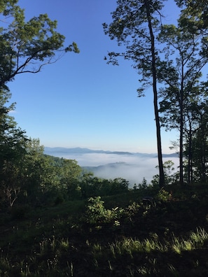 View from the cabin