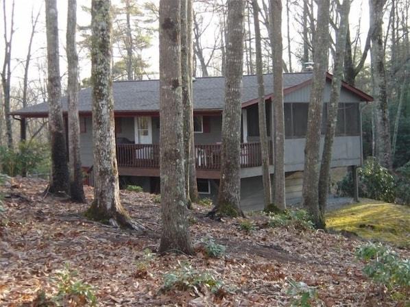 Secluded on 25 Acres, less than 1/2 mile from Dupont Forest Parking lot.
