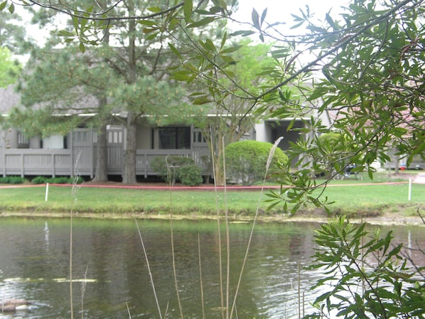 Our condo viewed from across Heron lake